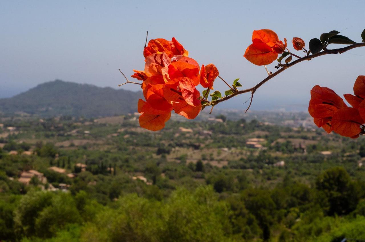 El Cel * Son Servera (Mallorca)